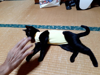 可愛いチャコ_20211008_2